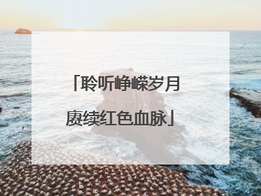 聆听峥嵘岁月 赓续红色血脉