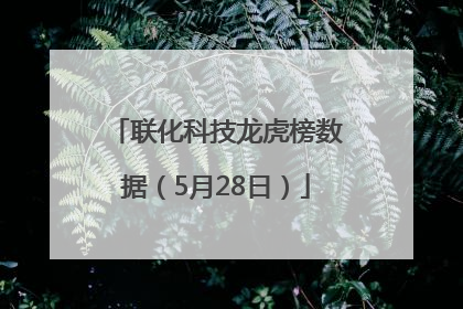 联化科技龙虎榜数据（5月28日）