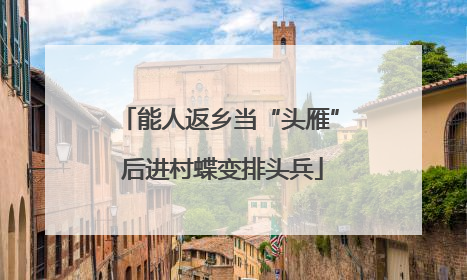 能人返乡当“头雁” 后进村蝶变排头兵
