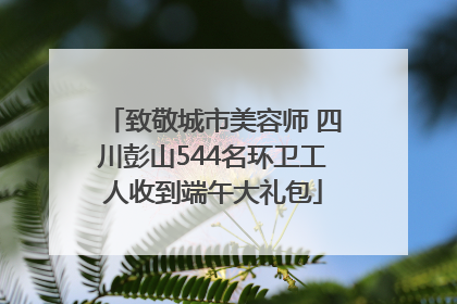 致敬城市美容师 四川彭山544名环卫工人收到端午大礼包