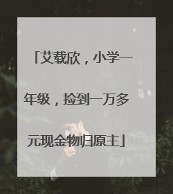 艾载欣，小学一年级，捡到一万多元现金物归原主