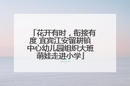 花开有时，衔接有度 宜宾江安留耕镇中心幼儿园组织大班萌娃走进小学