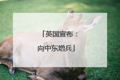 英国宣布：向中东增兵