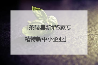 茶陵县新增5家专精特新中小企业