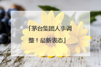 茅台集团人事调整！最新表态