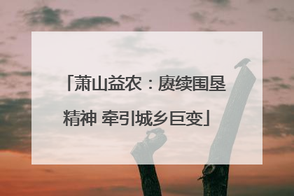 萧山益农：赓续围垦精神 牵引城乡巨变