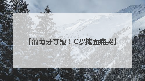 葡萄牙夺冠！C罗掩面痛哭