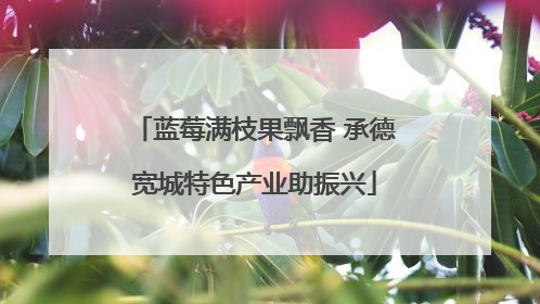 蓝莓满枝果飘香 承德宽城特色产业助振兴