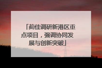 蔺佳调研新港区重点项目，强调协同发展与创新突破