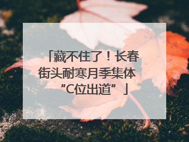 藏不住了！长春街头耐寒月季集体“C位出道”