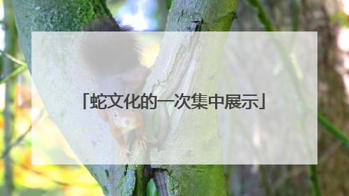 蛇文化的一次集中展示