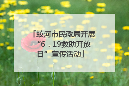 蛟河市民政局开展“6．19救助开放日”宣传活动