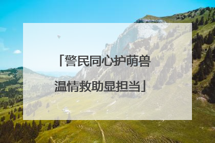 警民同心护萌兽 温情救助显担当