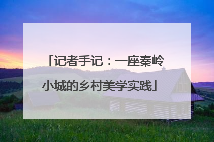 记者手记：一座秦岭小城的乡村美学实践