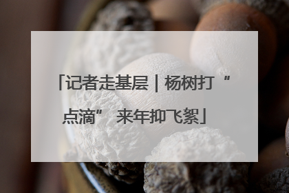 记者走基层｜杨树打“点滴” 来年抑飞絮