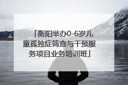 衡阳举办0-6岁儿童孤独症筛查与干预服务项目业务培训班