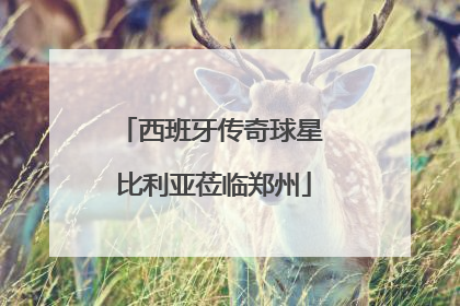 西班牙传奇球星 比利亚莅临郑州