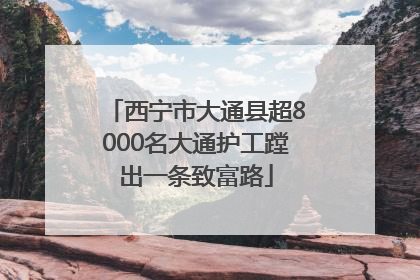 西宁市大通县超8000名大通护工蹚出一条致富路