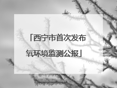 西宁市首次发布氧环境监测公报