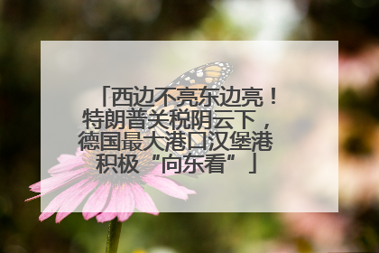 西边不亮东边亮！特朗普关税阴云下，德国最大港口汉堡港积极“向东看”
