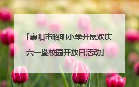 襄阳市昭明小学开展欢庆六一暨校园开放日活动
