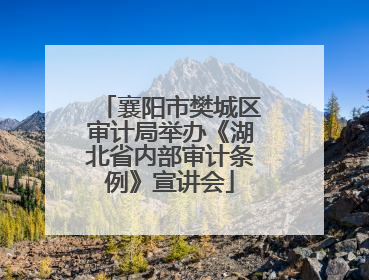 襄阳市樊城区审计局举办《湖北省内部审计条例》宣讲会