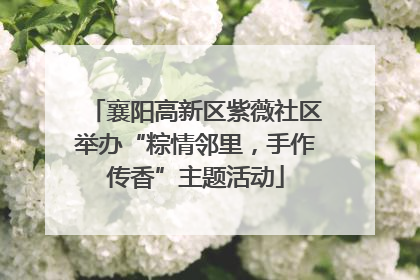 襄阳高新区紫薇社区举办“粽情邻里，手作传香”主题活动
