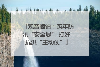 观音阁镇：筑牢防汛“安全堤” 打好抗洪“主动仗”