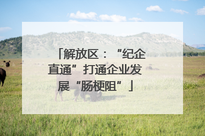 解放区：“纪企直通”打通企业发展“肠梗阻”