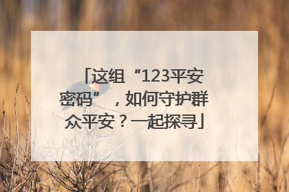 这组“123平安密码”，如何守护群众平安？一起探寻