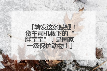 转发这条鲮鲤！货车司机救下的“胖宝宝”，是国家一级保护动物！
