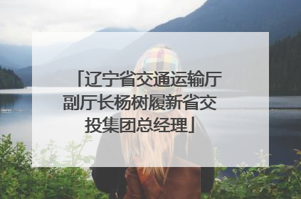 辽宁省交通运输厅副厅长杨树履新省交投集团总经理