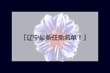 辽宁最新任免名单！