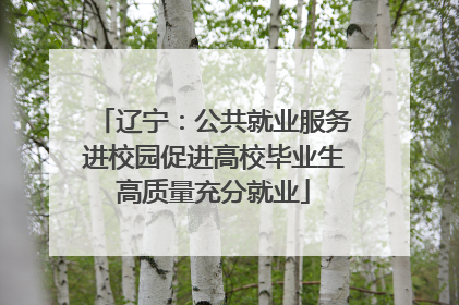 辽宁：公共就业服务进校园促进高校毕业生高质量充分就业