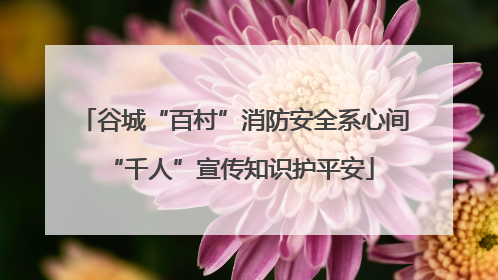 谷城“百村”消防安全系心间 “千人”宣传知识护平安
