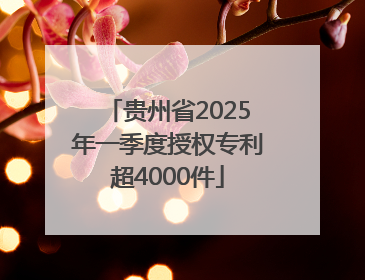 贵州省2025年一季度授权专利超4000件