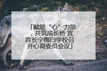 赋能“心”力量，共筑成长桥 宜宾长宁梅白学校召开心育委员会议
