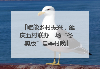 赋能乡村振兴，延庆五村联办一场“冬奥版”夏季村晚