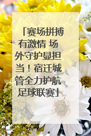 赛场拼搏有激情 场外守护显担当！宿迁城管全力护航足球联赛