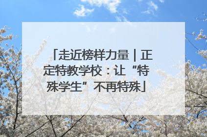 走近榜样力量｜正定特教学校：让“特殊学生”不再特殊