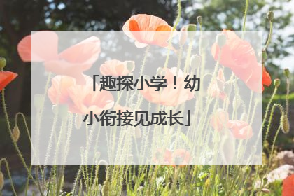 趣探小学！幼小衔接见成长