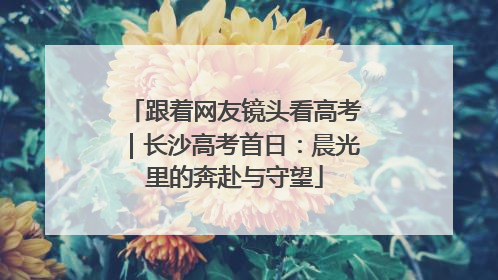 跟着网友镜头看高考｜长沙高考首日：晨光里的奔赴与守望