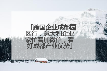 跨国企业成都园区行，意大利企业家忙着加微信，看好成都产业优势