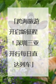 跨海旅游开启新征程！深圳三亚开行每日直达列车