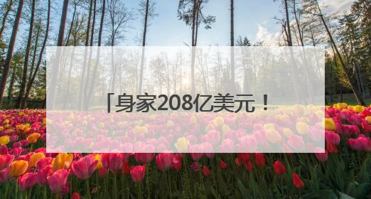 身家208亿美元！泡泡玛特创始人王宁成河南新首富，Labubu热销推涨股价