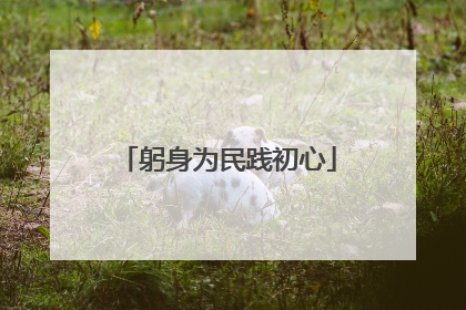 躬身为民践初心