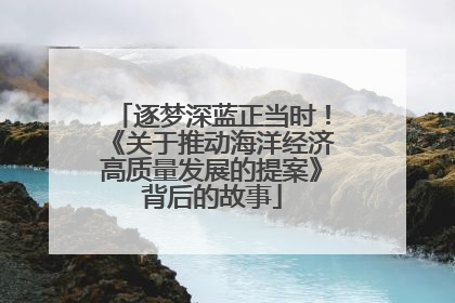 逐梦深蓝正当时！《关于推动海洋经济高质量发展的提案》背后的故事
