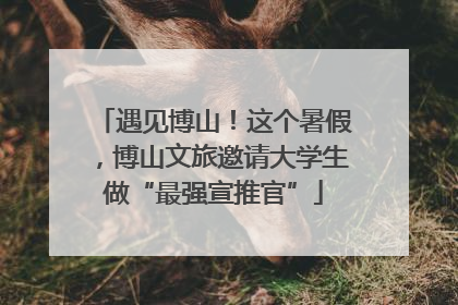 遇见博山！这个暑假，博山文旅邀请大学生做“最强宣推官”