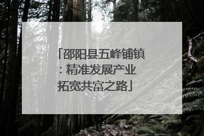 邵阳县五峰铺镇：精准发展产业 拓宽共富之路
