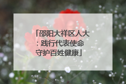 邵阳大祥区人大：践行代表使命 守护百姓健康